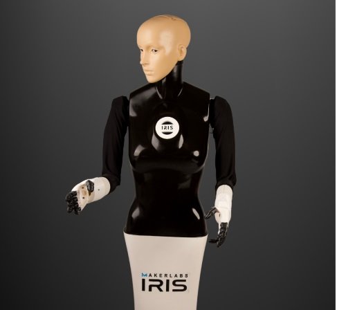 iris